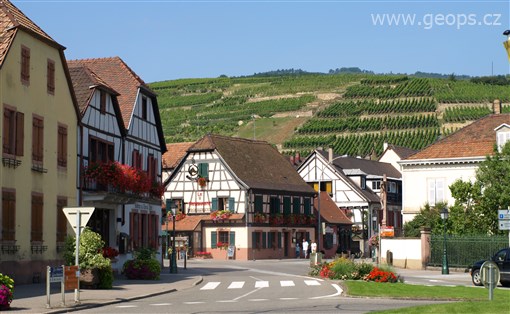Francie - Alsasko - Ribeauville -pohled na vinice