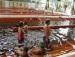 termály a wellness - 