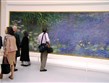 Francie - Paříž - Museé Orangerie, Monetův cyklus Lekníny