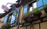 Kouzelné Alsasko, Lotrinsko i pro gurmány - Francie - Alsasko  - Eguisheim, nádherné květiny jsou všude