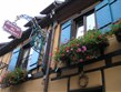 Francie - Alsasko  - Eguisheim, nádherné květiny jsou všude
