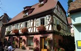 Alsasko a Černý les, zážitkový víkend na vinné stezce, slavnost chryzantém - Francie - Alsasko - Ribeauville