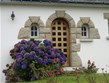 Francie - Bretaň - Pont Aven, hortenzie - květiny plodnosti