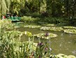 Do přírody pod stan - Francie - Normandie - Giverny, zahrady C.Moneta