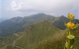 Francouzské sopky kraje Auvergne - Francie - Auvergne - hřebeny tvořené vrcholy sopek a žluté hořce