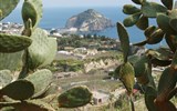 Ischia, ostrov termálů poznávací letecky - Itýálie - Ischia - opunciové ploty jsou ve vnitrozemí časté
