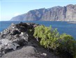 Španělsko - Kanárské ostrovy - ostrov Tenerife, Los Gigantos