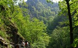 Tajemný Harz a slavnost čarodějnic s cestou úzkokolejkou na Brocken - Německo - Harz - turistika údolím řeky Bode