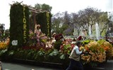 Madeira, zelený ostrov a karneval - Portugalsko - Madeira, festival květin