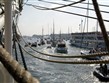 Holandsko - Amsterdam, slavnost lodí Sail - romantika soli, větru na tváři a dálek