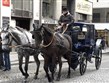 Kultura a příroda Evropy - Rakousko - Vídeň - vídeňská drožka patří k obrazu města