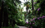 Nejkrásnější zahrady Itálie - Itálie - ostrůvky Brissago - botanická zahrada