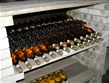 Evropské slavnosti - Maďarsko - Tokaj - lahve proslulého tokajského, vína které stojí za ochutnání