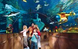 Legoland a zámek Neuschwanstein - Německo - Legoland, můžete navštívit i obří mořské akvárium