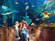 Německo - Legoland, můžete navštívit i obří mořské akvárium