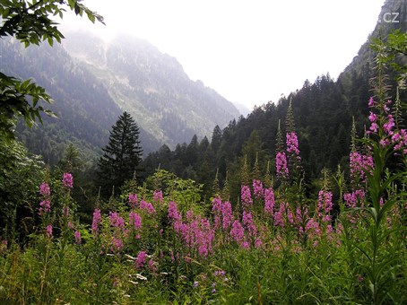Itálie - Přímořské Alpy -  Valley del Valasco