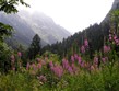 týdny v horách 2010 - Itálie - Přímořské Alpy -  Valley del Valasco