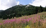 Krásy Chorvatska - Chorvatsko - pohoří Velebit