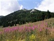 Chorvatsko - pohoří Velebit