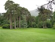 Irsko -  park kolem Muckross House