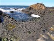 Letecké zájezdy - Irsko - Obrův chodník (Giant´s Causeway), čedičová žíla se sloupcovitým rozpadem, památka UNESCO