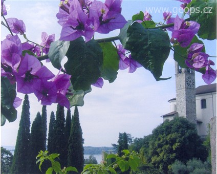 Evropské slavnosti -  Itálie - Lago diGarda - Gardone riviera.jpg