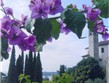 Evropské slavnosti -  Itálie - Lago diGarda - Gardone riviera.jpg