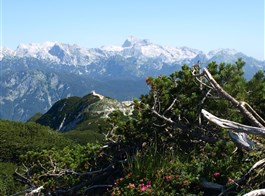 Slovinsko - Putování, relaxace a turistika v Julských Alpách 2022  Slovinsko - Julské Alpy - Triglav přes kosodřevinu