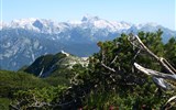 Putování a relaxace v Julských Alpách - Slovinsko - Julské Alpy - Triglav přes kosodřevinu