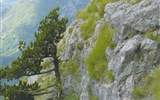 Kamenná krása Apulie a Salenta - Itálie - Kalábrie - NP Polino