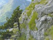 Itálie - Kalábrie - NP Polino