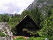 Slovinsko - Julské Alpy - na břehu Bohinjského jezera