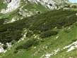 Slovinsko - Julské Alpy - vrchol Šija, 1880 m