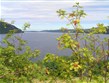 Velká Británie - Skotsko - Loch Ness, druhé největší skotské jezero proslavené výskytem Lochnesky, jedné ze záhad zeměkoule