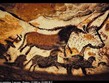 Francie - Perigord - Lascaux, malby býků na stěnách a stropě jeskyně