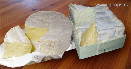 Francie - Camembert, jeden z nejznámějších francouzských sýrů