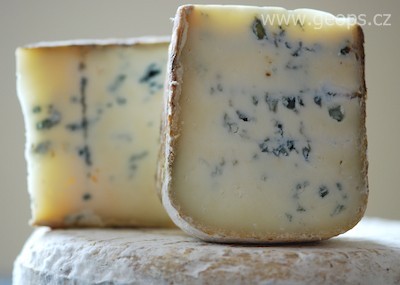 Francie - podhůří Pyrenejí - zdejší lahodný sýr bleu de brebis 
