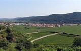 Cibulové slavnosti Rakouska, termály, víno - Rakousko - údolí Wachau, vínu se zde daří