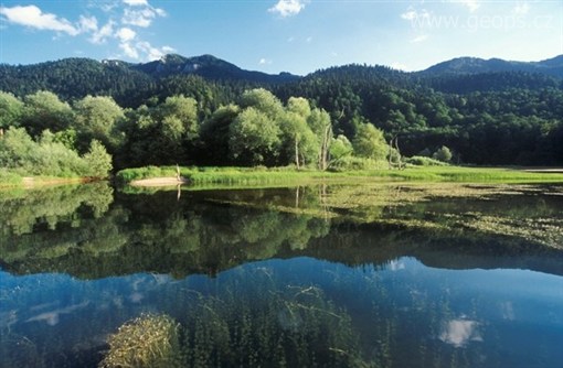 Černá Hora - národní park Biogradska gora - ledovcové Biograské jezero