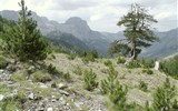 Albánie, divukrásná perla Balkánu - Albánie - hory jsou zde stále divoké