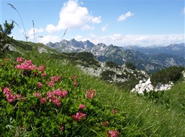 Slovinsko, hory, moře a jeskyně podzim 2022   Slovinsko - Julské Alpy - pod Voglem
