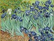 Vincent van Gogh, Kosatce, 1889