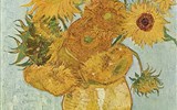 Amsterdam letecky a skanzen Zaanse Schans - Vincent van Gogh, Slunečnice, 1888
