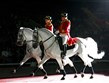 Vídeň - Rakousko - lipicáni, původně arabské plemeno, název po vsi Lipica  ve Slovinsku