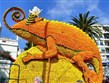 Do přírody pod stan - Francie - Menton - Festival citrusů, přijel i zástupce Madagaskaru