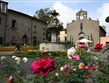 Itálie - Viterbo - květinové slavnosti San Pellegrono in Fiore