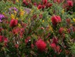 Itálie - Viterbo - květinové slavnosti San Pellegrino in Fiore, pastva pro krásymilovné oči