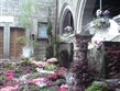 Itálie - Viterbo - květinové slavnosti San Pellegrino in Fiore