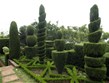 Portugalsko . Madeira - Funchal, Botanická zahrada, francouzská zahrada