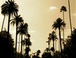 USA - Beverly Hills